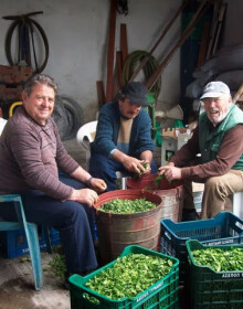 2014 - ΠΡΟΕΤΟΙΜΑΣΙΑ ΓΙΑ ΤΟ ΜΠΟΥΡΑΝΙ